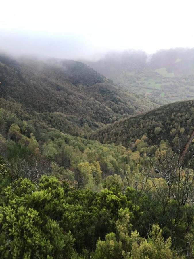 Апартаменты A Barreira -Lar Da Cima- Folgoso do Courel Экстерьер фото